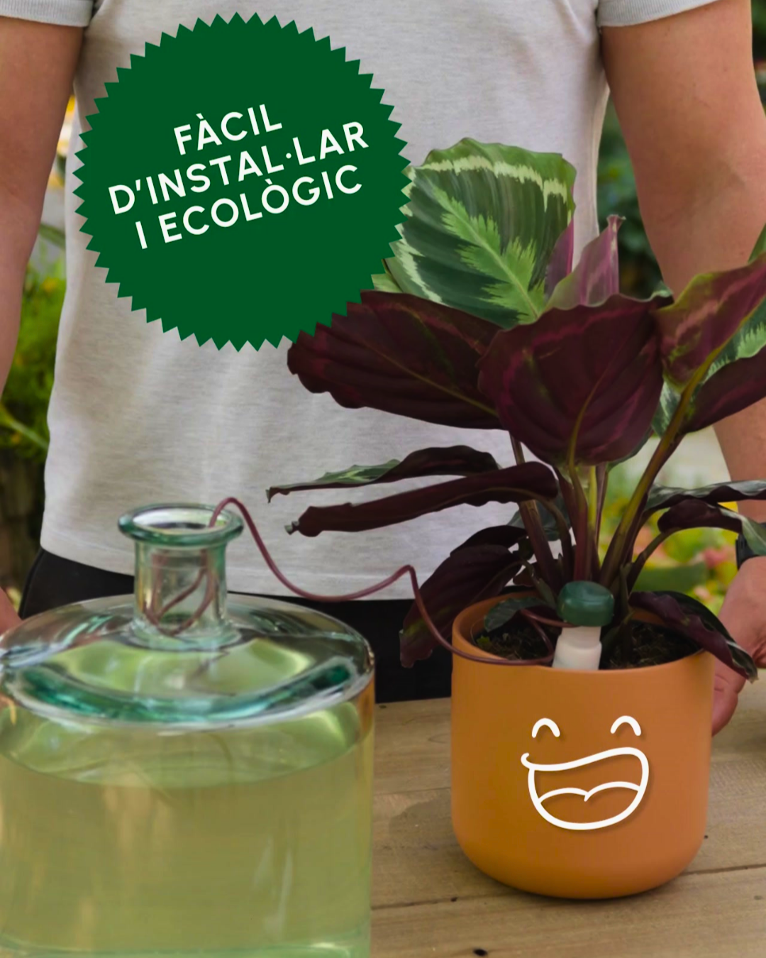 Vas de vacances i estàs preocupat per les teves plantes? Aquí tens la solució perfecta!